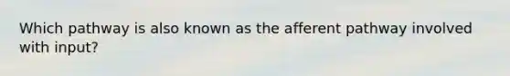 Which pathway is also known as the afferent pathway involved with input?