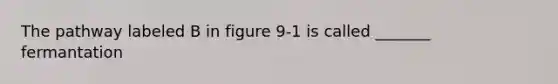 The pathway labeled B in figure 9-1 is called _______ fermantation