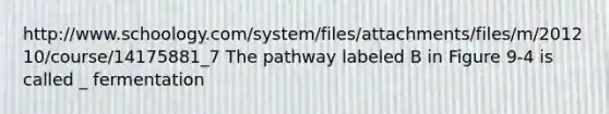 http://www.schoology.com/system/files/attachments/files/m/201210/course/14175881_7 The pathway labeled B in Figure 9-4 is called _ fermentation