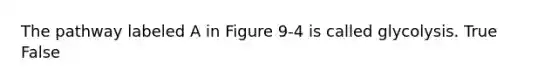 The pathway labeled A in Figure 9-4 is called glycolysis. True False