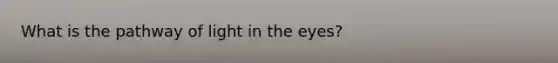 What is the pathway of light in the eyes?