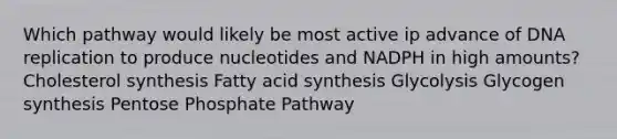 Which pathway would likely be most active ip advance of DNA replication to produce nucleotides and NADPH in high amounts? Cholesterol synthesis Fatty acid synthesis Glycolysis Glycogen synthesis Pentose Phosphate Pathway