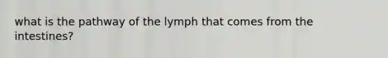 what is the pathway of the lymph that comes from the intestines?