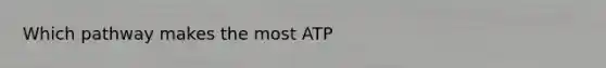 Which pathway makes the most ATP