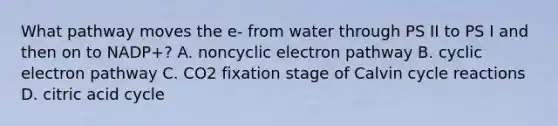 What pathway moves the e- from water through PS II to PS I and then on to NADP+? A. noncyclic electron pathway B. cyclic electron pathway C. CO2 fixation stage of Calvin cycle reactions D. citric acid cycle