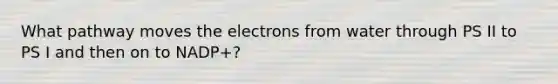 What pathway moves the electrons from water through PS II to PS I and then on to NADP+?