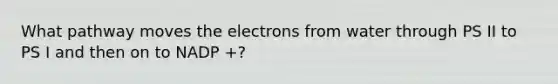 What pathway moves the electrons from water through PS II to PS I and then on to NADP +?