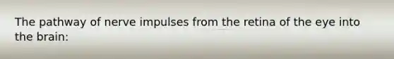 The pathway of nerve impulses from the retina of the eye into the brain: