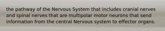 the pathway of the Nervous System that includes cranial nerves and spinal nerves that are multipolar motor neurons that send information from the central Nervous system to effector organs.