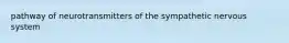 pathway of neurotransmitters of the sympathetic nervous system
