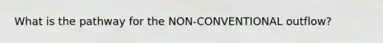 What is the pathway for the NON-CONVENTIONAL outflow?