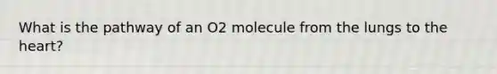 What is the pathway of an O2 molecule from the lungs to the heart?