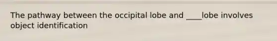 The pathway between the occipital lobe and ____lobe involves object identification