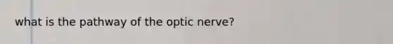 what is the pathway of the optic nerve?