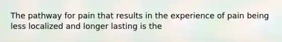 The pathway for pain that results in the experience of pain being less localized and longer lasting is the