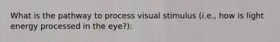 What is the pathway to process visual stimulus (i.e., how is light energy processed in the eye?):