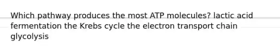 Which pathway produces the most ATP molecules? lactic acid fermentation the Krebs cycle the electron transport chain glycolysis