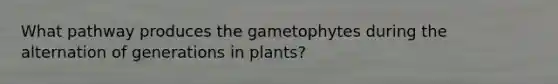 What pathway produces the gametophytes during the alternation of generations in plants?