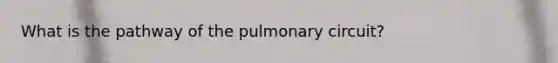 What is the pathway of the pulmonary circuit?