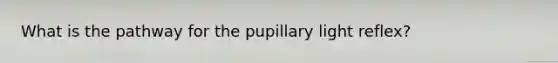 What is the pathway for the pupillary light reflex?