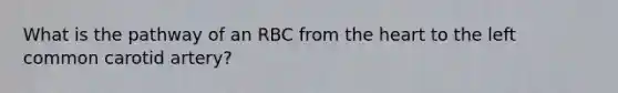 What is the pathway of an RBC from the heart to the left common carotid artery?