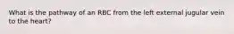 What is the pathway of an RBC from the left external jugular vein to the heart?