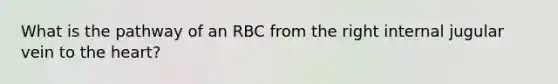 What is the pathway of an RBC from the right internal jugular vein to the heart?