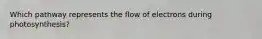 Which pathway represents the flow of electrons during photosynthesis?