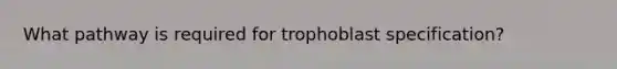 What pathway is required for trophoblast specification?