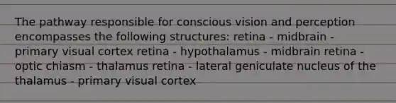 The pathway responsible for conscious vision and perception encompasses the following structures: retina - midbrain - primary visual cortex retina - hypothalamus - midbrain retina - optic chiasm - thalamus retina - lateral geniculate nucleus of the thalamus - primary visual cortex