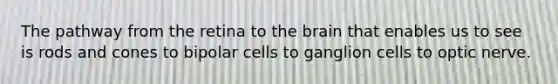 The pathway from the retina to the brain that enables us to see is rods and cones to bipolar cells to ganglion cells to optic nerve.