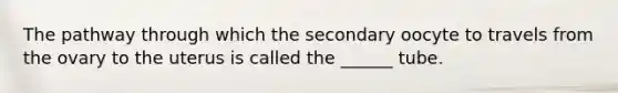 The pathway through which the secondary oocyte to travels from the ovary to the uterus is called the ______ tube.