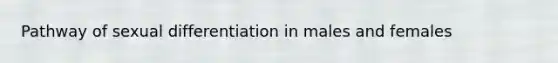 Pathway of sexual differentiation in males and females