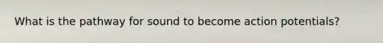 What is the pathway for sound to become action potentials?
