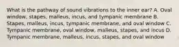 What is the pathway of sound vibrations to the inner ear? A. Oval window, stapes, malleus, incus, and tympanic membrane B. Stapes, malleus, incus, tympanic membrane, and oval window C. Tympanic membrane, oval window, malleus, stapes, and incus D. Tympanic membrane, malleus, incus, stapes, and oval window