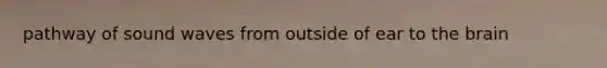 pathway of sound waves from outside of ear to the brain