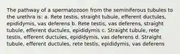 The pathway of a spermatozoon from the seminiferous tubules to the urethra is: a. Rete testis, straight tubule, efferent ductules, epididymis, vas deferens b. Rete testis, vas deferens, straight tubule, efferent ductules, epididymis c. Straight tubule, rete testis, efferent ductules, epididymis, vas deferens d. Straight tubule, efferent ductules, rete testis, epididymis, vas deferens