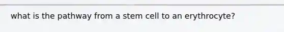 what is the pathway from a stem cell to an erythrocyte?