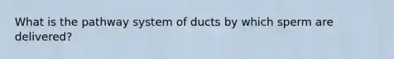 What is the pathway system of ducts by which sperm are delivered?