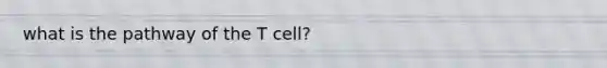 what is the pathway of the T cell?