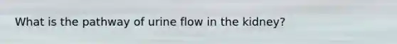 What is the pathway of urine flow in the kidney?