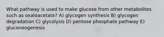 What pathway is used to make glucose from other metabolites such as oxaloacetate? A) glycogen synthesis B) glycogen degradation C) glycolysis D) pentose phosphate pathway E) gluconeogenesis