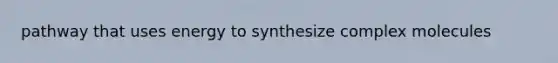 pathway that uses energy to synthesize complex molecules