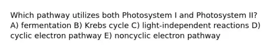 Which pathway utilizes both Photosystem I and Photosystem II? A) fermentation B) Krebs cycle C) light-independent reactions D) cyclic electron pathway E) noncyclic electron pathway