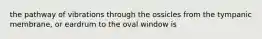 the pathway of vibrations through the ossicles from the tympanic membrane, or eardrum to the oval window is