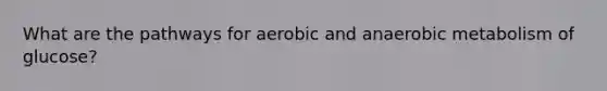 What are the pathways for aerobic and anaerobic metabolism of glucose?