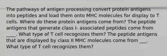 The pathways of antigen processing convert protein antigens into peptides and load them onto MHC molecules for display to T cells. Where do these protein antigens come from? The peptide antigens that generate class I- associated peptides come from ____. What type of T cell recognizes them? The peptide antigens that are displayed by class II MHC molecules come from ___. What type of T cell recognizes them?