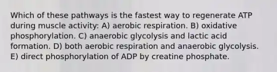 Which of these pathways is the fastest way to regenerate ATP during muscle activity: A) aerobic respiration. B) oxidative phosphorylation. C) anaerobic glycolysis and lactic acid formation. D) both aerobic respiration and anaerobic glycolysis. E) direct phosphorylation of ADP by creatine phosphate.