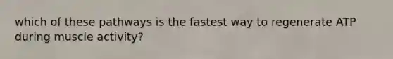 which of these pathways is the fastest way to regenerate ATP during muscle activity?