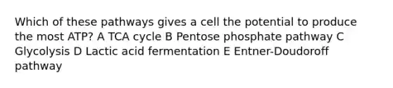 Which of these pathways gives a cell the potential to produce the most ATP? A TCA cycle B Pentose phosphate pathway C Glycolysis D Lactic acid fermentation E Entner-Doudoroff pathway